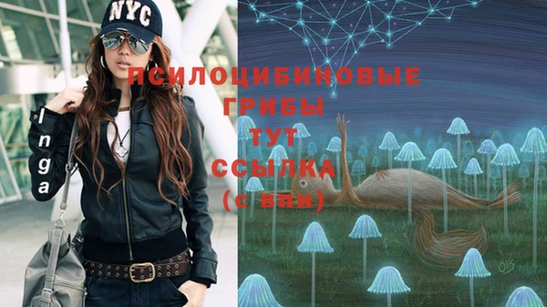 ешки Балахна