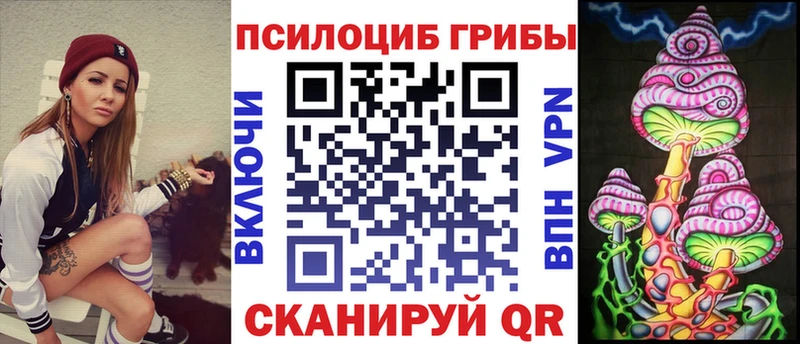 Купить где  Баксан  Псилоцибиновые грибы прущие грибы 
