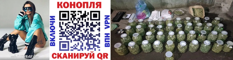 Купить  Баксан  Конопля индика 